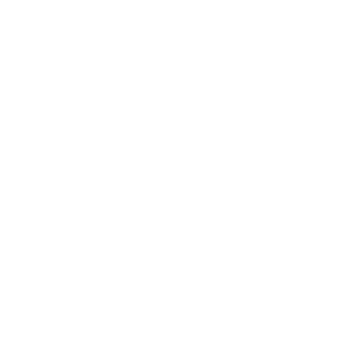 LinkedIn Logo Icon