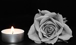 rose-1273740_150-1273740 rose, blossom, bloom, rose blossom, rose flower, black-and-white, candle, candlelight, grief, consolation, last greeting, in remembrance